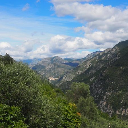 Modestie Villa Breil-sur-Roya Kültér fotó