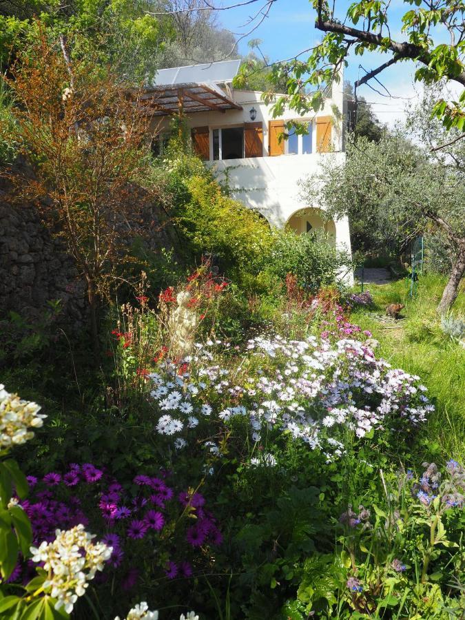 Modestie Villa Breil-sur-Roya Kültér fotó