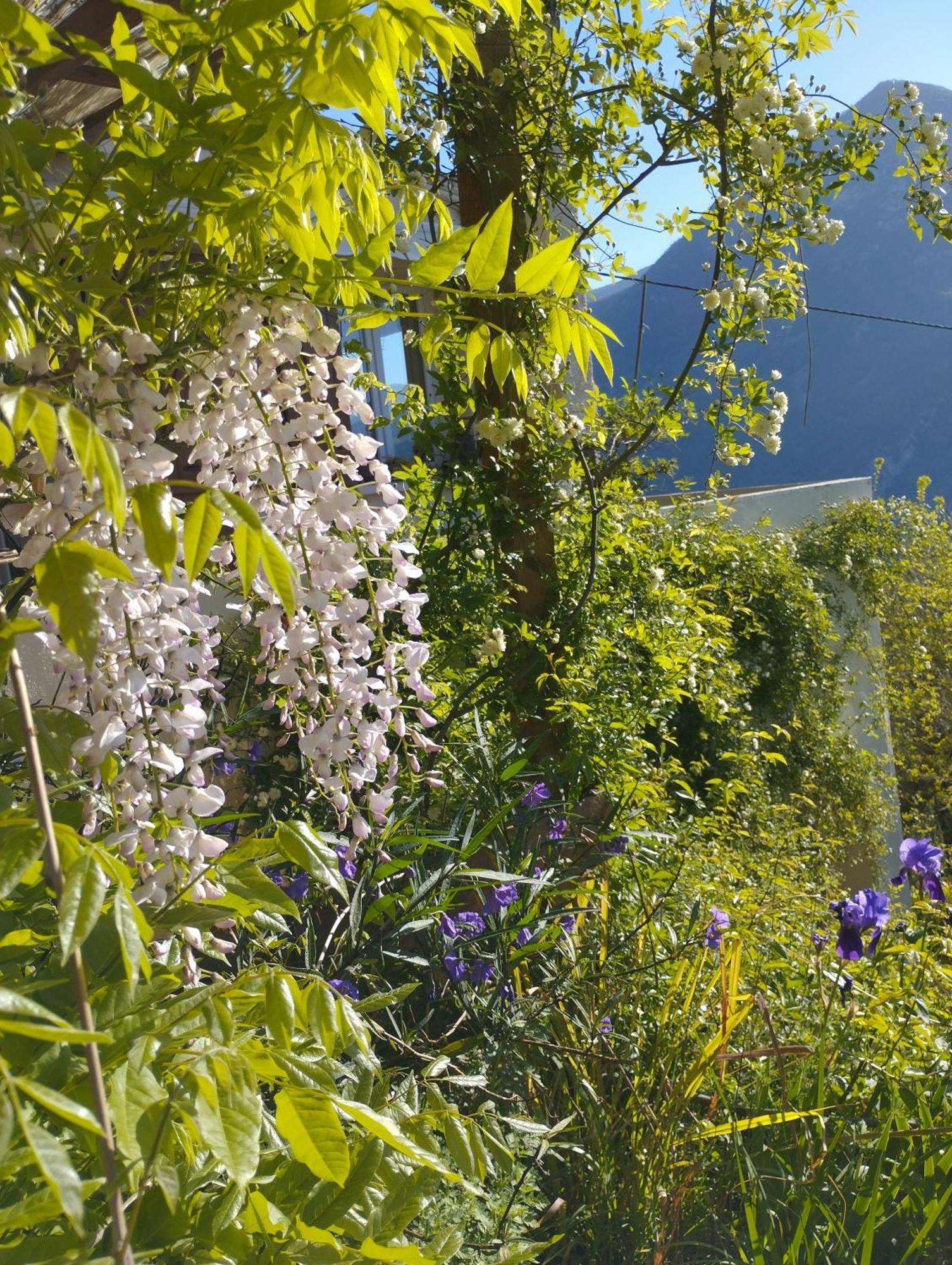 Modestie Villa Breil-sur-Roya Kültér fotó